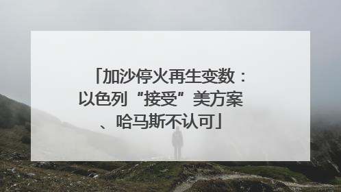 加沙停火再生变数：以色列“接受”美方案、哈马斯不认可